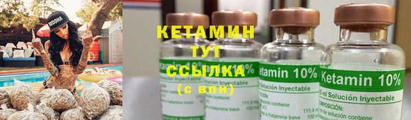 твердый Аркадак