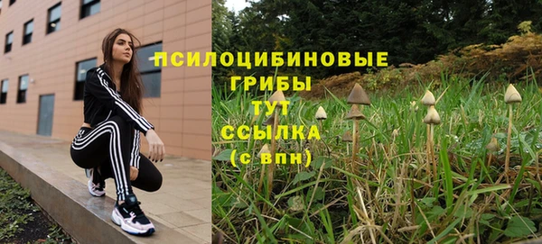 PSILOCYBIN Армянск