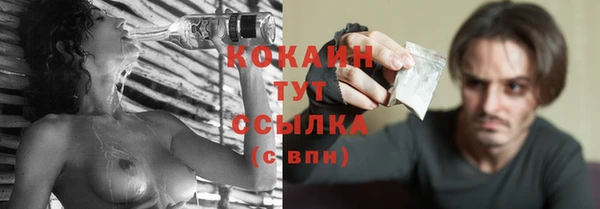 твердый Аркадак