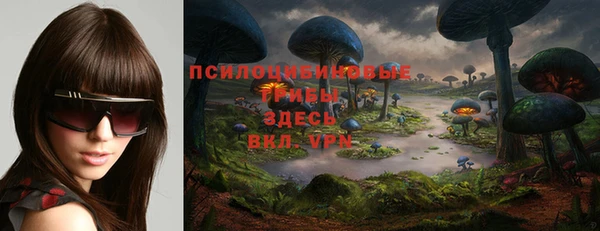 PSILOCYBIN Армянск