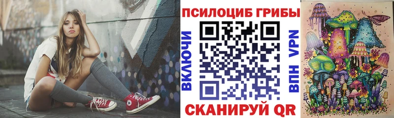 наркошоп  Тара  Галлюциногенные грибы MAGIC MUSHROOMS 